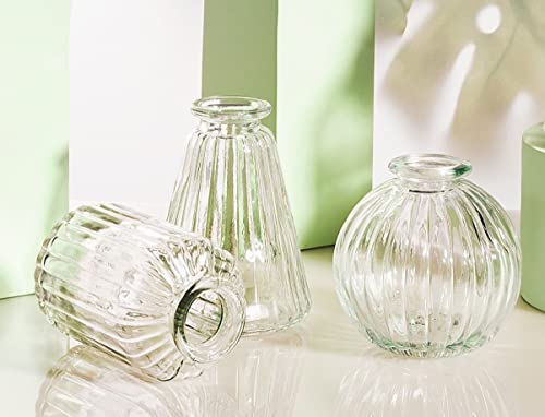 Sass & Belle Plain Glass Bud Vases - Set of 3 Clear