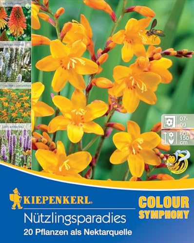 Kiepenkerl Nützlingsparadies - Blumenzwiebel-Mischung für Insektenvielfalt, winterhart und mehrjährig, Blumen Zwiebeln Set