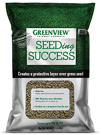 GreenView Fairway Formula Seeding Success plus Starter Fertilizer - 38 lb.