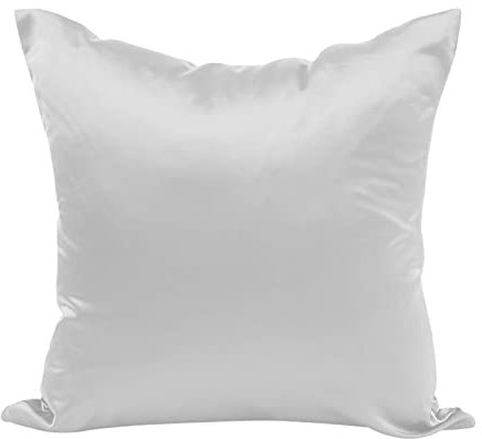 FeiliandaJJ Seide Kissenbezug 45x45cm für Haar und Haut mit verstecktem Reißverschluss natürlicher SeidenKissenbezug Kopfkissenbezug (H)