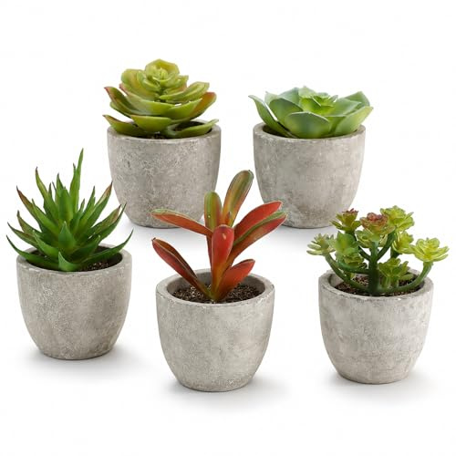 Lxoraziy 6 Pezzi Mini Piante Finte da Interno in Vaso, Piantine Finte Decorative con Vasetto, Pianta Finte Succulente per Interni, Ufficio, Scrivania, Casa, Camera da Letto, Decorazione