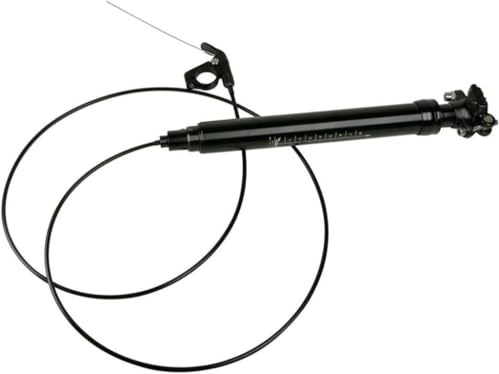 YIJIEHH Reggisella, Reggisella per Bicicletta Dropper con Comando a Filo, Reggisella Telescopico per Bicicletta Dropper 31,6 mm, Viaggio Regolabile da 100 a 170mm