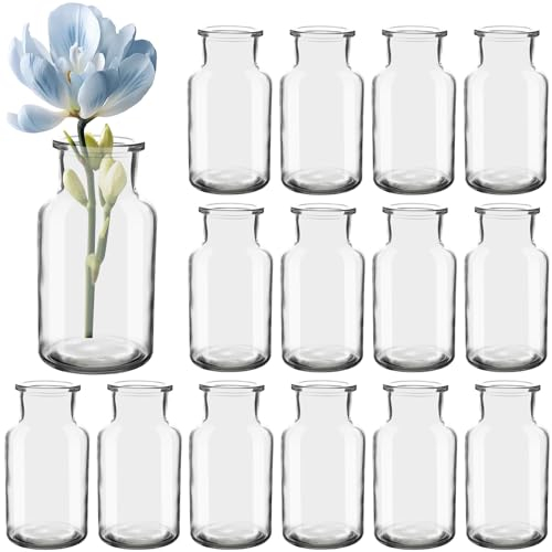 HYCKEe Mini Glasvasen Set von 15, 250 ml kleine Flaschen, Blumenvasen, Tischvasen, Glasvasen, dekorative Flaschen, Glasflaschen Bulk, Glasflaschen für Tischdekoration, Mittelpunkt, Hochzeit