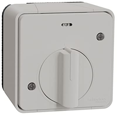 Schneider Electric - Mureva Styl - Interrupteur temporisé LED - saillie - IP55 - IK08 - blanc - MUR39067