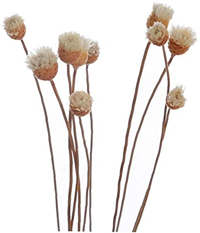 TOSSPER 20 Pc/Set Diffusor-Sticks Rattan Flower Bud Rose Ersatz Refill Rattanstöcke Für Essential Oil Diffuser Für Privatanwender Schlafzimmer Badezimmer