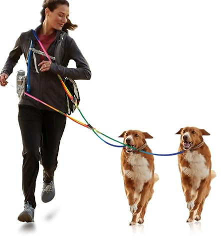 2Pcs Hands Free Hundeleine für große 240cm Seil Crossbody Hundeleine Reflektierend für Joggen und Laufen,Verdickte Freihandleinen,Nylon Doppelleine mit 2 Karabiner,Hundeleine (Farbe, 2 Stück)