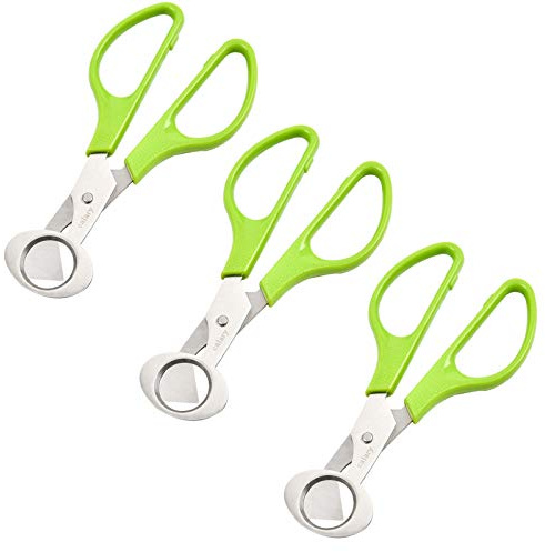 Calary 3Pcs Quail Egg Cutter Scissors Kitchen Egg Shears Tool (Green)