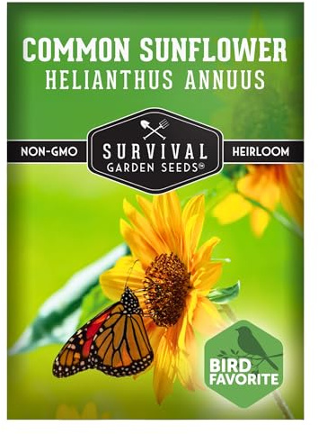 Common Sunflower (Helianthus annuus) Seeds for Planting - 1 Pack