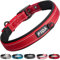 Fida Padded Dog Collar, Metal Belt Buckle Dog Collar with Double-Layer Webbing, Heavy Duty Collar for Medium Dogs, Red