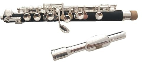 tvärflöjt instrument Nybörjare spelar piccolo musikinstrument flöjt