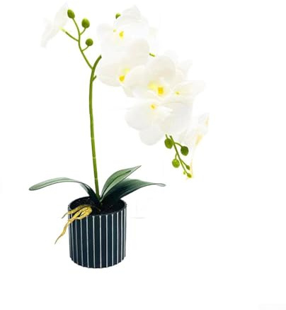 babominimer Dremisland Orchidée artificielle bonsaï en pot pour décoration d'intérieur, bureau, salon, cuisine – 35 cm de hauteur, matériau en soie (blanc)
