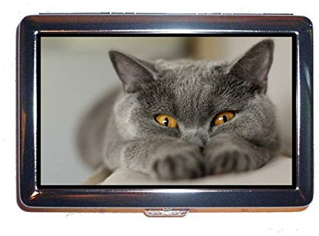 Zigarettenetui/Karton, Chartreux Graue Tier lustige Katze Protection Credit Visitenkartenetui