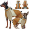 Kuoser Wasserdichter Hundemantel für Kleine Hunde, Wärmer Winter Mantel Mit Geschirr, Moden Reflektierende Hundejacke, Braun M
