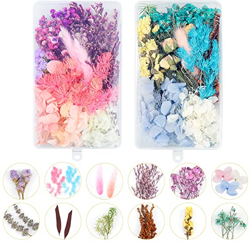 Dreamtop Natürliche Getrocknete Blumen DIY Natürliche Getrocknet Blumen Set Gemischte Blätter Natürliche Bunt Echt Trocken Blume Für DIY-Kunst Basteln Karten Machen DIY Harz(2 Kisten)