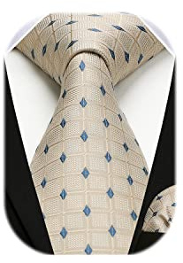 HISDERN Herren Krawatte Hochzeit Beige karierte Krawatten Taschentuch Blumen Elegant Klassisch Krawatte & Einstecktuch Set