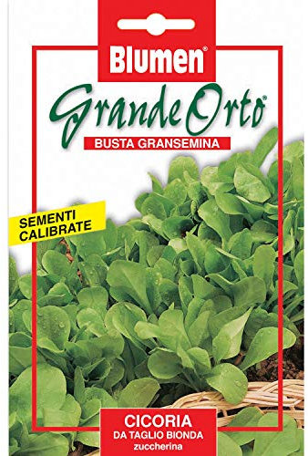 BLUMEN SEMENTI, CICORIA DA TAGLIO BIONDA ZUCCHERINA