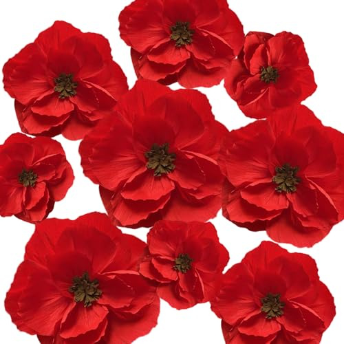 BRT Bearingshui Fiori di carta rossa decorazione per parete totale 9 pezzi, fiori artificiali per decorazione di nozze, sfondo floreale, festa di compleanno, festa di compleanno 3D rosso