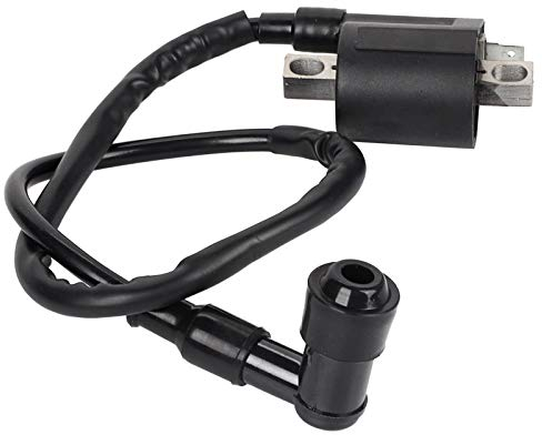 Bobina di Accensione di Accensione Bobina di Accensione di Alta Qualità per ATV Scooter Ciclomotore Go-Kart, di accensione