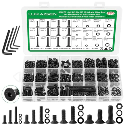 Kit di 860 Pezzi di Bulloni Metrici a Testa Cilindrica - Viti a Testa Cilindrica con Innesto Esagonale M2 M3 M4 M5, Dadi, Rondelle Piane ed Elastiche con 4 Chiavi - Acciaio Legato Grado 10.9