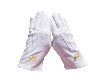 Masonic bomullshandskar broderi akacia guld, 100 % bomull, blandad modell, Vitt och blått, 9