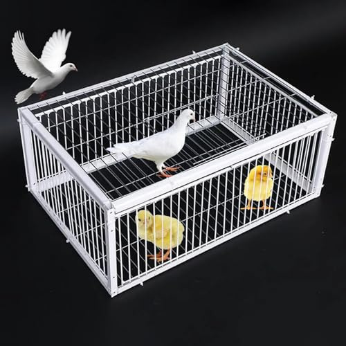 REBOTZ Trampa para pájaros, Jaula Trampa para pájaros, Colector de Trampa, Puerta de gallinero de 40/60/70/90/100 cm para Palomas de Carreras, Palomas, Loros, pájaros, Puerta de Ventana, Suministros d