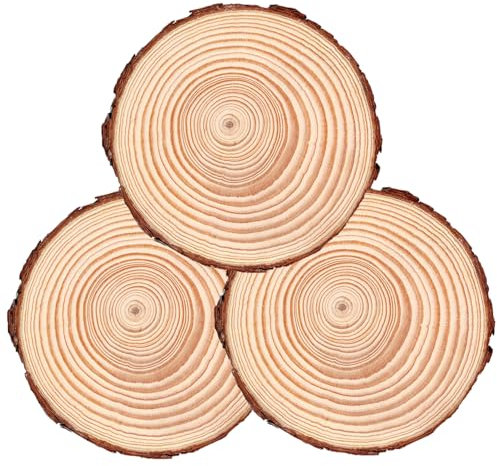 Jorzer Lot de 3 dalles de jardin pour allée extérieure, 18 à 20 cm, pierres antidérapantes pour extérieur, cour, pelouse, terrasse