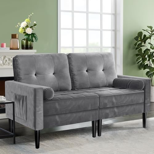 Aotumm Ciort Sofa 2 Plazas, 2 Almohadas, Cómodo Cojín de Asiento, Sofa Moderno de Mediados de Siglo, Terciopelo Sofás Pequeños para Sala de Estar/Apartamento/Dormitorio (Gris Fresco)