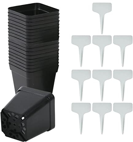 50 vasi quadrati per piante e 10 etichette, vasi in plastica per piantine, vasi da giardinaggio, contenitori per piante con fori di drenaggio per piantare piantine, ortaggi e fiori (nero)