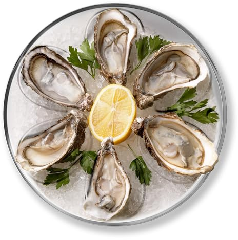 OUTSET Oyster Tray, 6 Slots and Condiment Cup