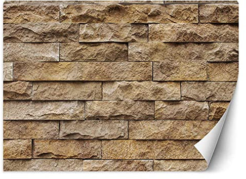 Feeby Papier Peint Intisse Mur Grès Motif 100x70 cm beige Déco Murale Trompe L' Oeil Tapisserie Moderne Salon Chambrea' Coucherr Salle De Bain Cuisine Imitation De Maçonnerie Texture