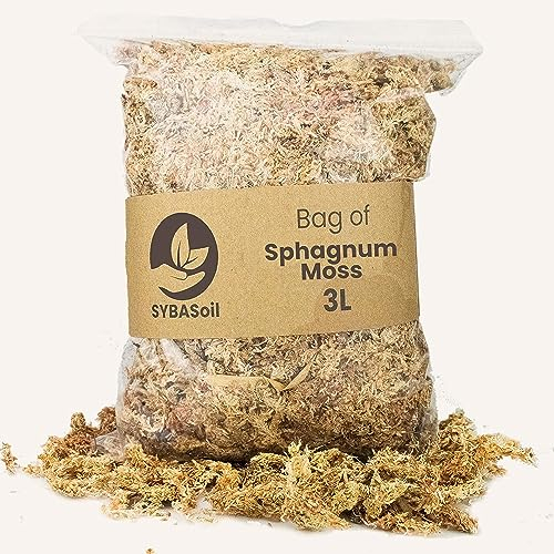 MUSCHIO DI SFAGNO PER ORCHIDEE 3L SYBOTANICA PIANTE VASO SERRA TERRARIO
