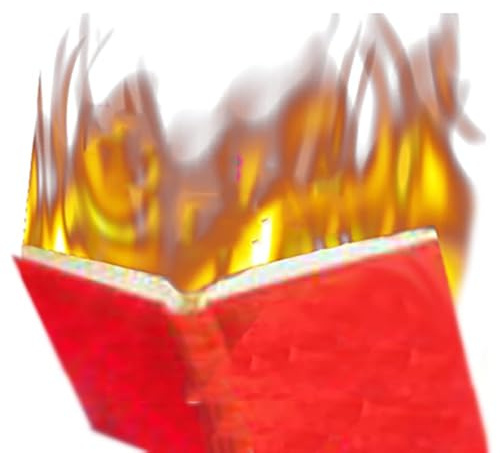 Any Book - Fire Book Gimmick - Fire Pockets Magic Tricks Magician Flame Appearing Stage Magic lllusions Gimmicks Mentalism Props