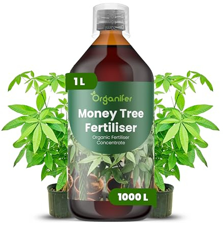 Flytande Gödsel 1L För Money Tree - NPK 2-1-8