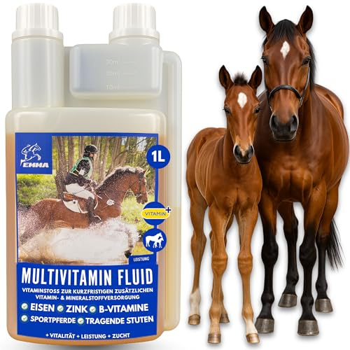 EMMA Multivitamin Pferd hochdosiert 1 L – Vitamin-B-Komplex Liquid mit Vitamin C Mineralstoffen & Spurenelementen – B1 B2 B6 B12 Eisen Calcium Zink – Energie Fellwechsel Immunsystem