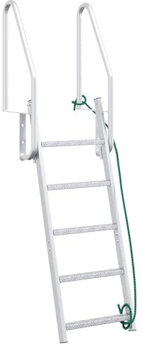 vidaXL 5-stegs bryggstege Silver 58 x 77 x 191 cm Aluminium