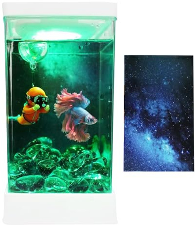 Acquario per Pesci Betta | Kit Completo Acquario da Tavolo con Filtro e Luce Integrati | Decorazione Da Tavolo Per Casa, Soggiorno, Studio E Appartamenti