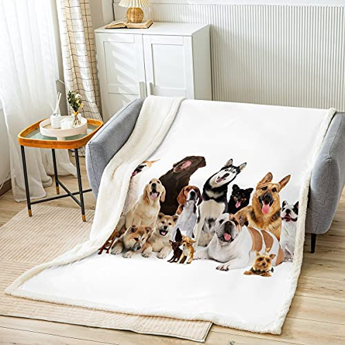 Kinder Decke 150x200cm Süß Hund Muster Kuscheldecke Microfaser für Jungen Mädchen Wohndecke Tier Haustiere Flanell Fleecedecke Weich Atmungsaktiv