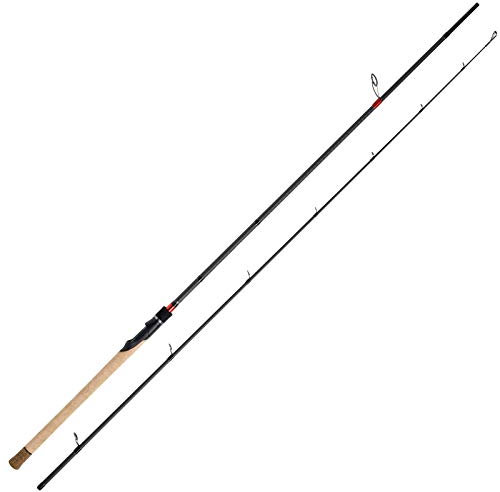 WFT Angelrute Gummifischrute - Penzill Extremos Shad XX-Fast 2,70m 14-58g