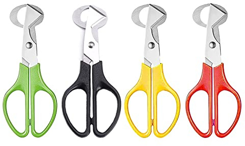 4 Piezas Tijeras para Huevos de Codorniz, Tijeras para Huevos de Codorniz de Acero Inoxidable, Separador de Huevos Abridor de Huevos para El Hogar, la Cocina, El Restaurante