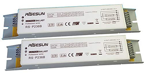 220 V 50–60 Hz 2 x 36 W T8 2 Lampe Ballast électronique Rs-eu236b (Blanc, 2-pack)