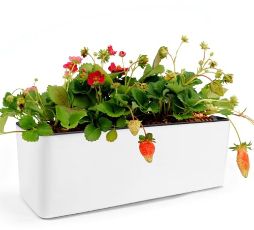 CAREDGO Jardinera de Autorriego con Indicador de Nivel de Agua, Macetero Rectangular de Autorriego de 40 x 13 x 13 cm Maceta de Autorriego Blanca de Plástico para Balcón Interior Exterior