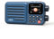 Choyong A8W Portable Smart Internet Radio Receiver WIFI/4G Speaker with FM,Micro-SD Card,All World Radios,for Home with WiFi,Digital Radio,choyoung radio