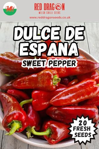 Dulce de España Sweet Pepper Seeds | Traditional Spanish Sweet Pepper | Large Mild Red Peppers | Easy to Grow Vegetable Seeds