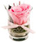 Rosen-Te-Amo |Ewige Rose im Glas, duftend, handgefertigt, rosa|Echte ewige Rose in Geschenkbox |Geschenk für Frauen, Mama|Konservierte Rose zum Weihnachten, Valentinstag, Muttertag, DekoGeschenk
