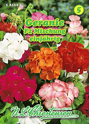 Pelargonium zonale, Pelargonien, F2, Mischung N.L.Chrestensen Samen 583525-B