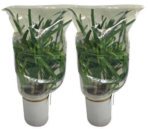 Zunishaone Cubiertas para Plantas en Invierno,2 Piezas Manta De Tela con Cordón Transparente | 100 X 120 Cm Protección Invernal para Plantas | para Rosal Arbusto Árbol Césped Hortaliza Fruta