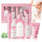 Nettoyant Intime, Gel Intime Femme Set con Nettoyant, Gel Lavant Intime Femme, Essence, Lotion Protectrice, Spray, Nettoyage et Entretien Rapides, 5 Articles