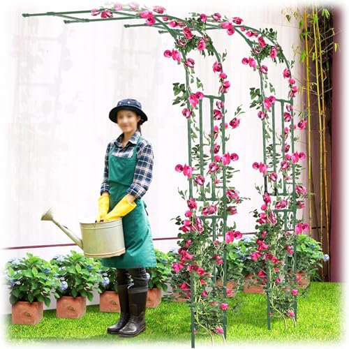 Arche de jardin en métal pour plantes grimpantes, treillis demi-arc, support extérieur pour vignes, demi-tonnelle décorative 200 x 240 cm (vert) parfaite pour la décoration de jardin et la croissance