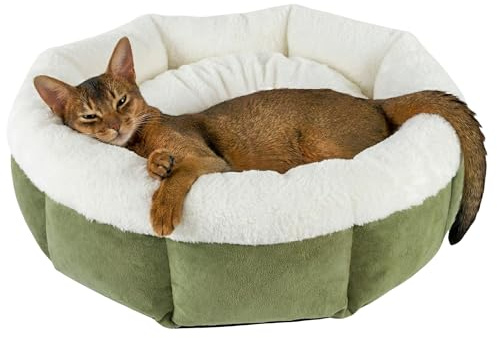 LUNORI Pet Bed, Cat Bed, Dog Bed, 55 x 55 x 20 cm, Washable Cat Bed, Cat Basket with Double-Sided Inner Cushion, Cat Sleeping Place for Cats or Small Dogs, Dark Green and White