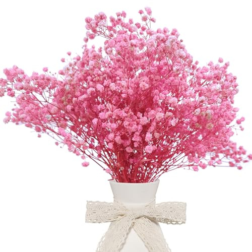 CoolCrafts Fiori Secchi di Gipsofila Rosa Naturale Gypsophila Essiccata per Decorazioni Casa, Matrimoni, Bouquet e Progetti Creativi